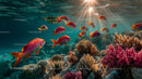 Tropical Fish Swimming Over Vibrant Coral Reef