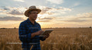 Farmer Using Tablet in Wheat Field at Sunset