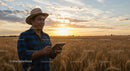 Farmer Using Technology in Wheat Field at Sunset