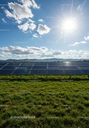 Solar Panels in a Sunlit Green Field
