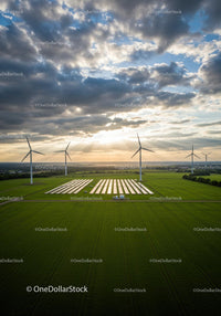 Wind Turbines and Solar Panels at Sunset in Green Field