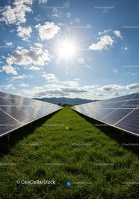 Solar Farm with Panels Under Bright Sunlight