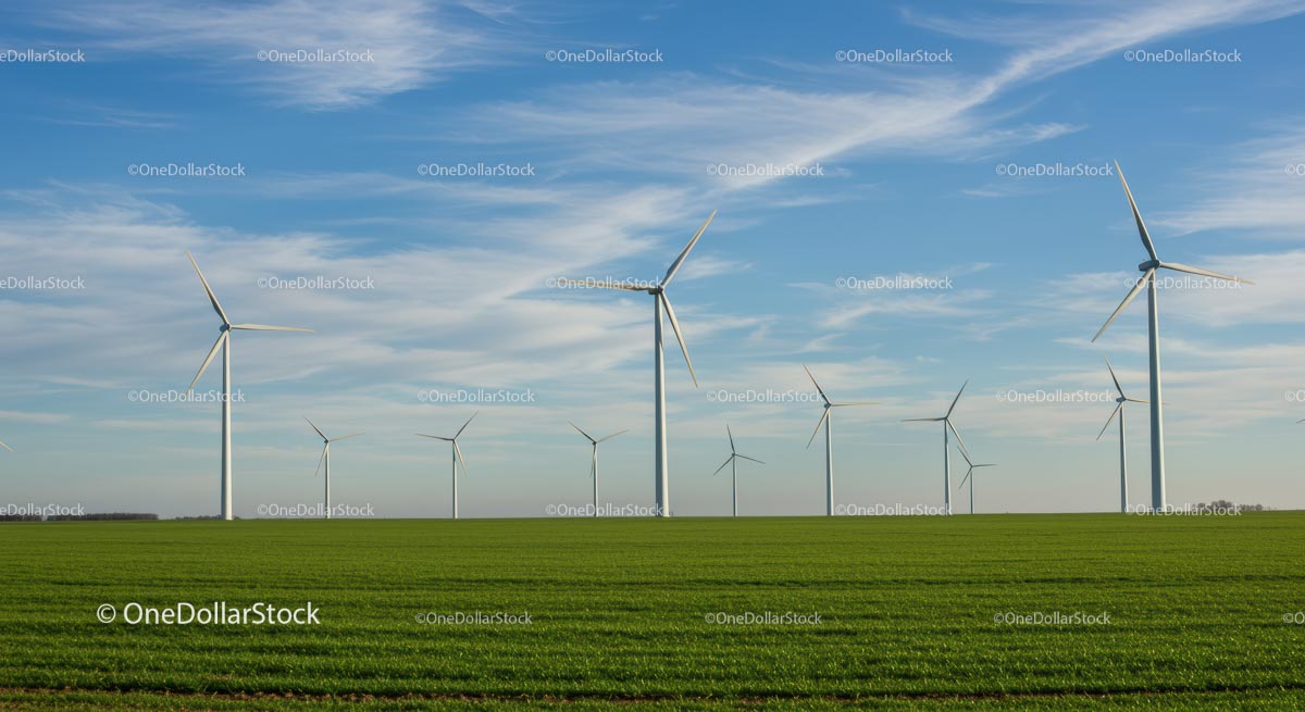 Wind Turbines in Green Field Under Blue Sky