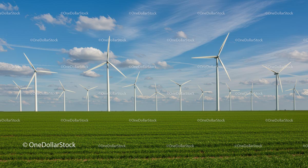Wind Turbines in a Green Field under Blue Sky