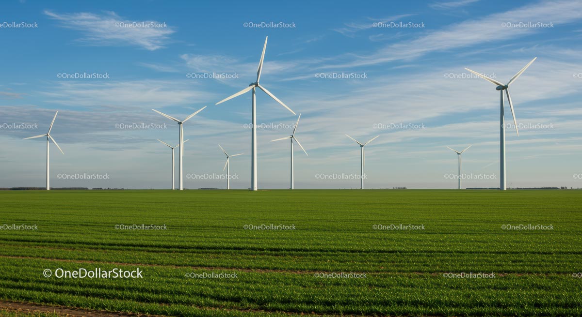 Turbiny wiatrowe na zielonym polu pod błękitnym niebem