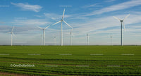 Wind Turbines on a Green Field Under Blue Sky