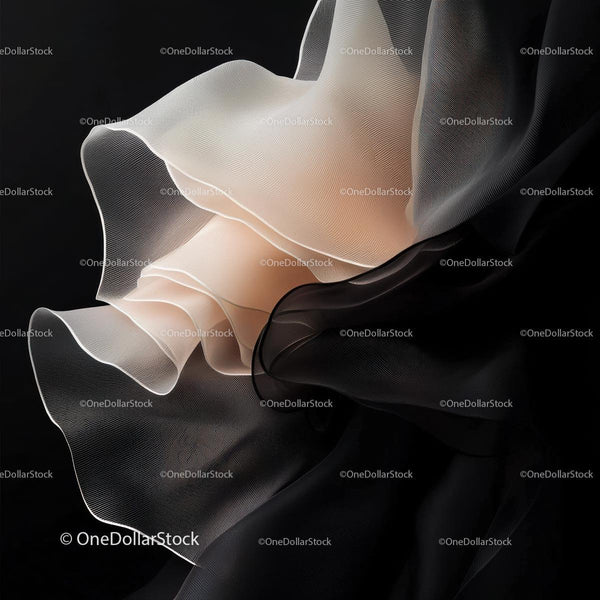 Elegant Layers of Flowing Chiffon on Black Background