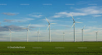 Wind Turbines Standing in a Vast Green Field Under Blue Clear Sky