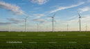 Expansive Wind Turbines in Green Field Under Blue Sky