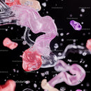 Abstract Fluid Art in Pink and Red Hues