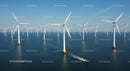 Offshore Wind Farm with Multiple Turbines in Ocean