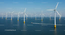 Offshore Wind Farm with Turbines in Open Sea