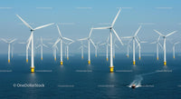 Offshore Wind Farm with Multiple Turbines in Ocean