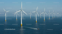 Offshore Wind Farm with Multiple Turbines in Ocean