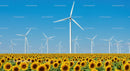 Vibrant Sunflower Field with Wind Turbines and Clear Blue Sky