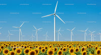 Vibrant Sunflower Field with Wind Turbines and Clear Blue Sky