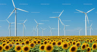 Vibrant Sunflower Field with Wind Turbines Under Blue Sky