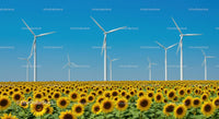 Sunflowers and Wind Turbines Under Clear Blue Sky
