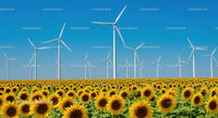 Sunflower Field with Wind Turbines Under Blue Sky