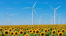 Vibrant Sunflower Field with Wind Turbines in Blue Sky