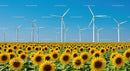 Sunflower Field with Wind Turbines on a Clear Summer Day