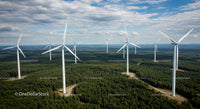 Wind Turbines Over Lush Green Forest Landscape