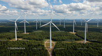 Wind Turbines in a Lush Green Forest with Blue Sky