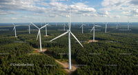 Wind Turbines in a Lush Green Forest Landscape