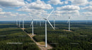 Wind Turbines in Lush Green Forest Landscape