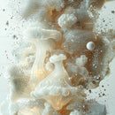 Surreal Abstract with Organic White Mushrooms