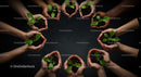 Diverse Hands Nurturing Green Seedlings Together