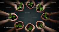 Diverse Hands Nurturing Green Seedlings Together