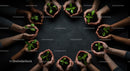 Diverse Hands Holding Seedlings for Sustainable Growth