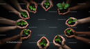 Diverse Hands Supporting Green Plant Growth