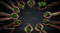 Diverse Hands Supporting Green Plant Growth