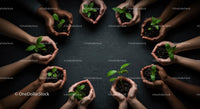 Diverse Hands Nurturing Green Seedlings Together