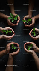 Hands Supporting Young Green Plants for a Sustainable Future