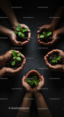 Diverse Hands Nurturing Green Seedlings Together
