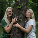 Two Women Embracing a Tree in a Serene Forest