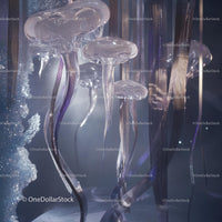 Ethereal Glowing Jellyfish in Mystical Underwater Scene