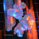 Luminous Crystal Formations in Vibrant Neon Hues