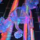 Vibrant Neon and Holographic Abstract Installation