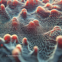 Abstract Macro of Textured Red and White Organic Mesh