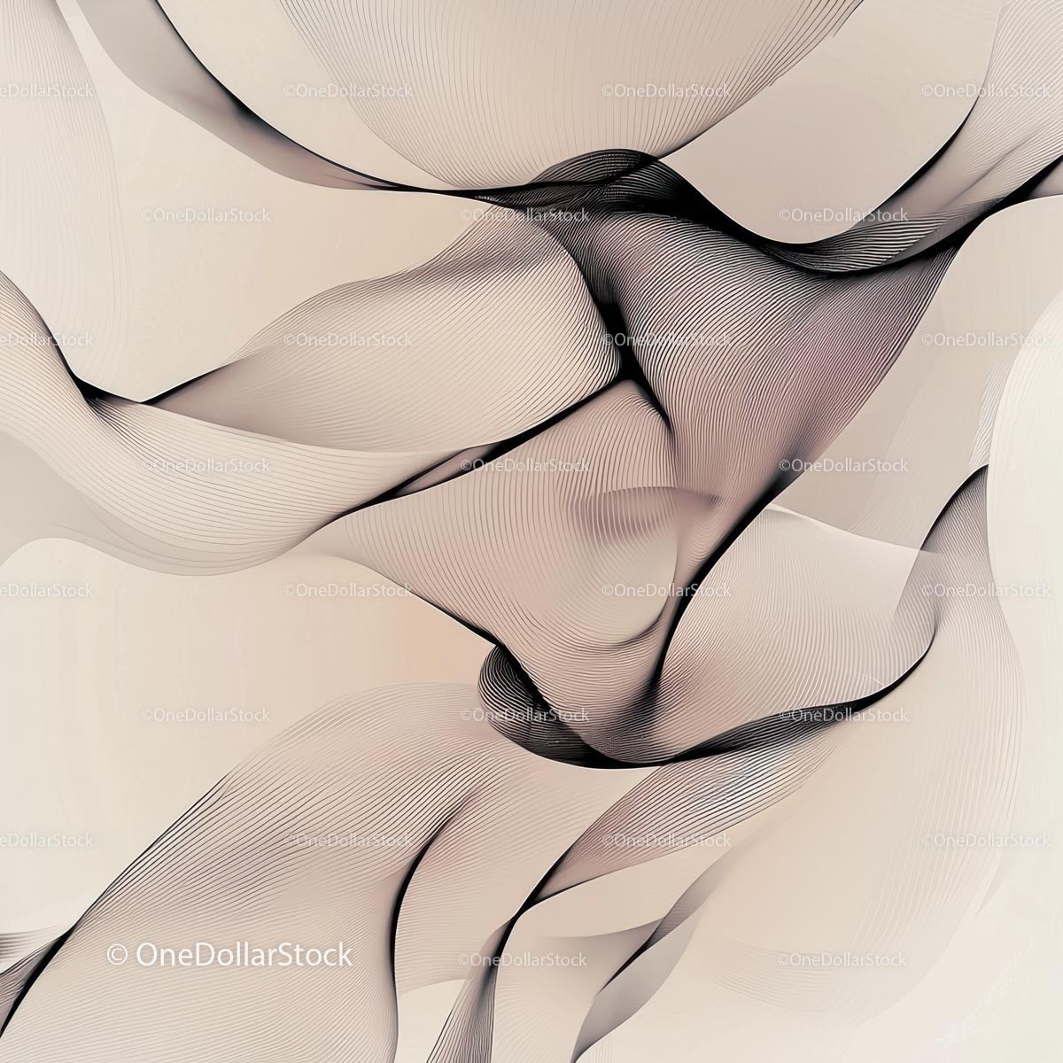 Abstract Beige and Black Flowing Line Art