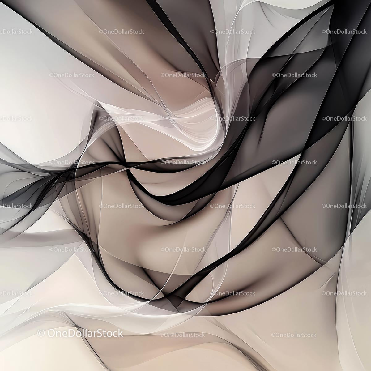 Elegant Abstract Curves in Black and Beige Tones