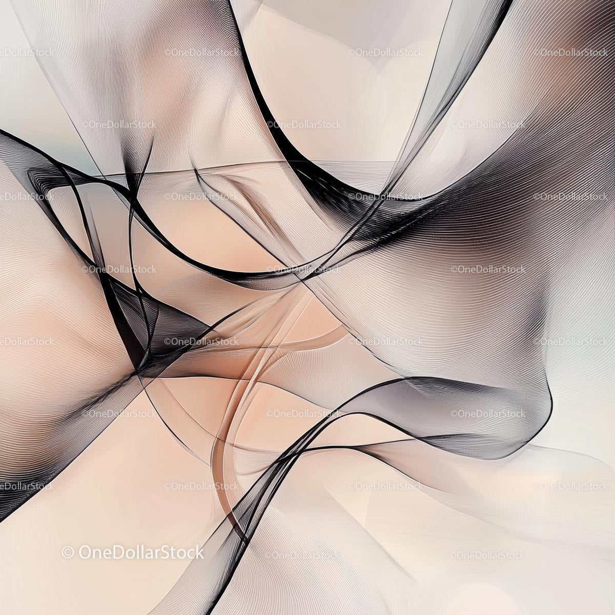 Elegant Flowing Abstract Lines in Monochrome Palette