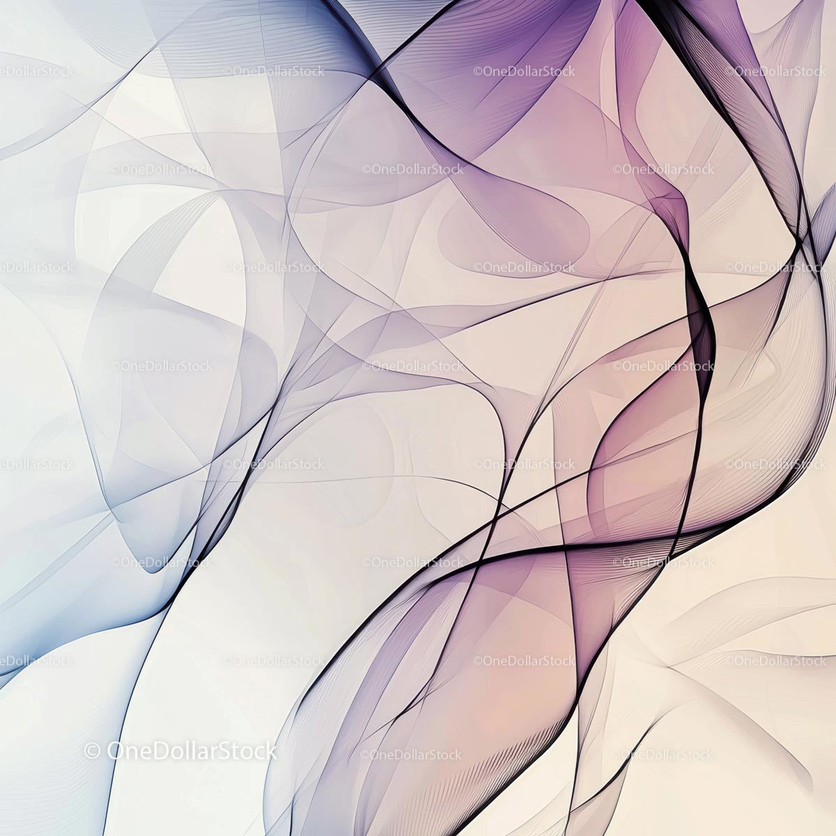 Elegant Abstract Flowing Lines and Curves Design