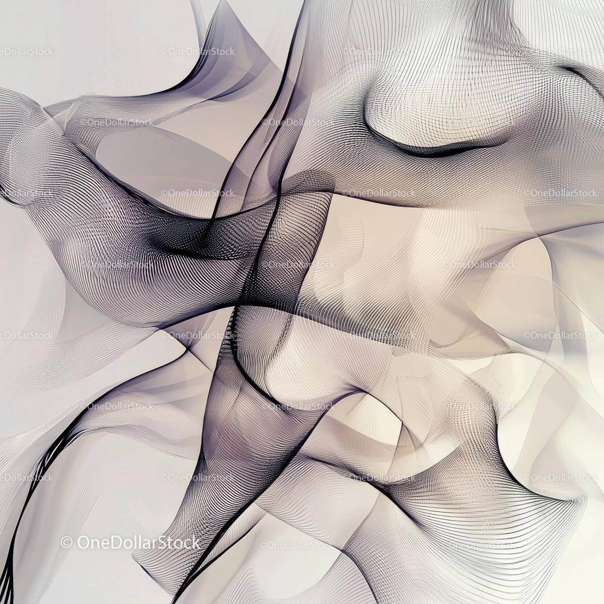 Abstract Fluid Motion with Flowing Lines