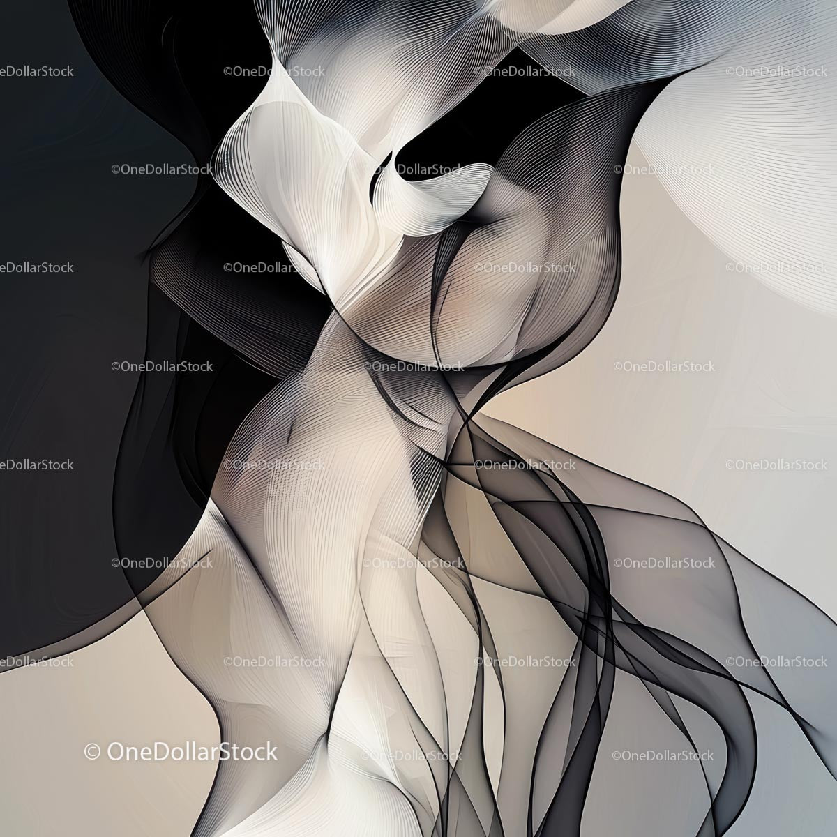 Elegant Abstract Art with Fluid Black and White Shapes