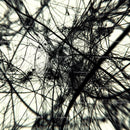 Intricate Abstract Network of Black Lines